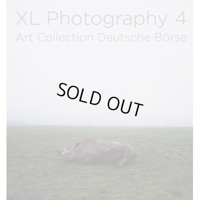 画像1: XL-Photography 4: Art Collection Deutsche Borse (1)
