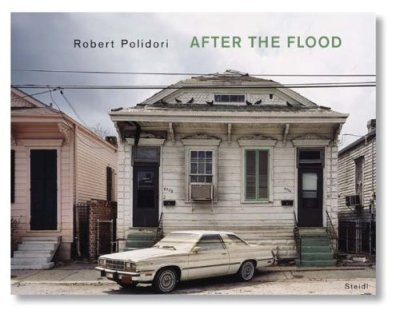 画像1: Robert Polidori: After the Flood (1)