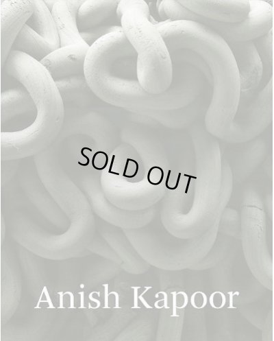 画像1: Anish Kapoor: Anish Kapoor (1)