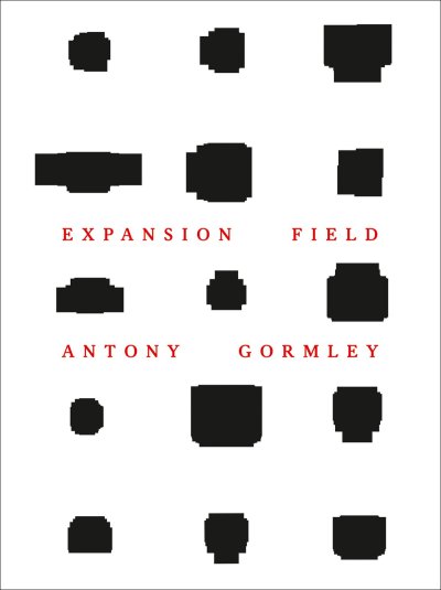 画像1: Antony Gormley: Expansion Field (1)