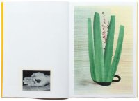 画像1: Ruth Van Beek: How To Do The Flowers