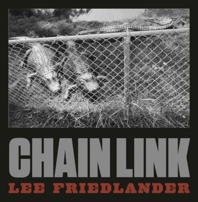 画像1: Lee Friedlander: Chain Link (1)