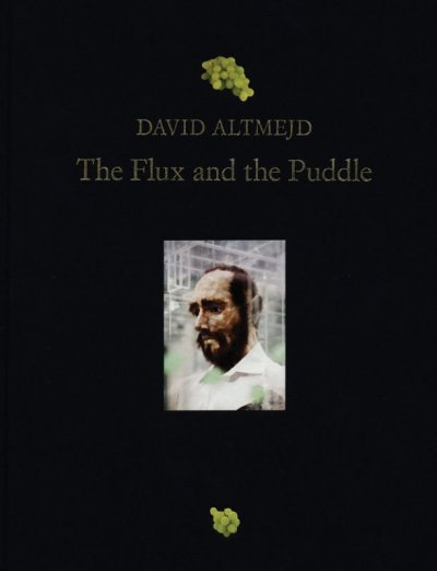 画像1: David Altmejd: The Flux and the Puddle (1)