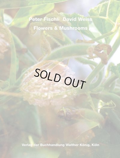 画像1: Peter Fischli & David Weiss: Flowers and Mushrooms (1)