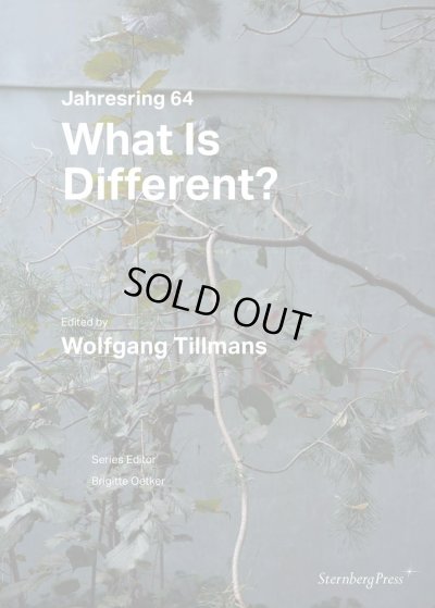 画像1: Wolfgang Tillmans: What Is Different? (1)
