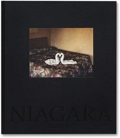 画像1: Alec Soth: Niagara (1)