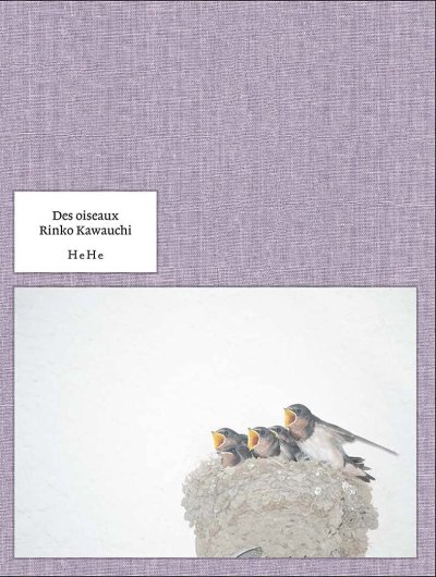 画像1: 川内倫子: Des oiseaux（On birds） (1)