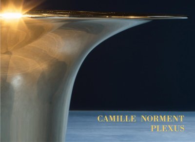 画像1: Camille Norment: Plexus (1)