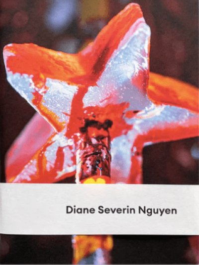 画像1: Diane Severin Nguyen: Diane Severin Nguyen (1)