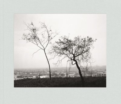 画像1: Robert Adams: Los Angeles Spring (1)