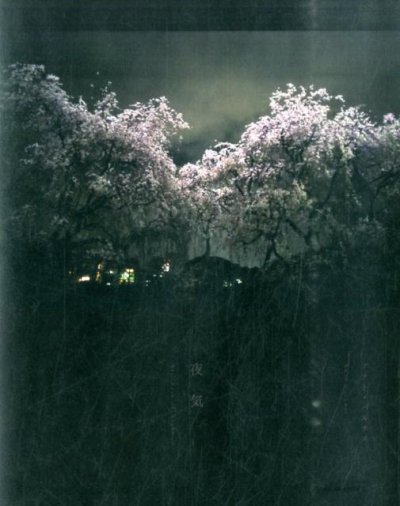 画像1: Anat Parnass: 夜気 (1)