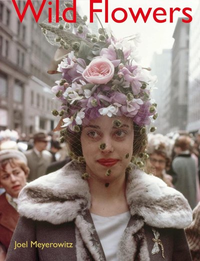 画像1: Joel Meyerowitz: Wild Flowers (1)