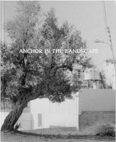 画像1: Adam Broomberg, Rafael Gonzalez: Anchor in the Landscape (1)