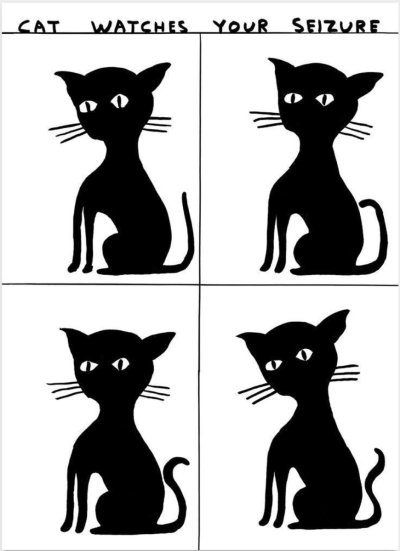 画像1: David Shrigley: Cat Watches Your Seizure ポスター (1)