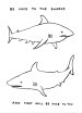 画像1: David Shrigley: Be Nice To The Sharks ポスター (1)