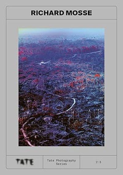 画像1: Richard Mosse: Tate Photography (1)