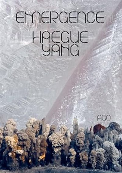 画像1: Haegue Yang: Emergence (1)