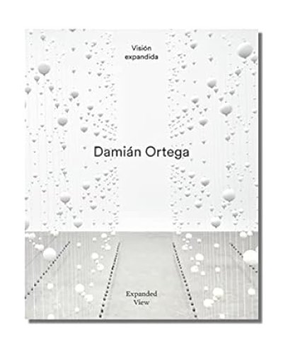 画像1: Damián Ortega: Expanded View (1)