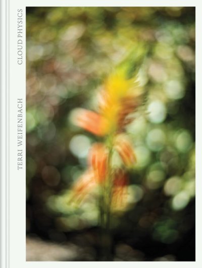 画像1: Terri Weifenbach: Cloud Physics (1)