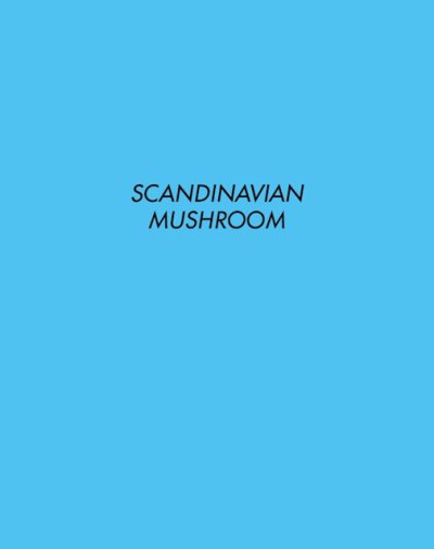 画像1: ホンマタカシ: SCANDINAVIAN MUSHROOM (1)