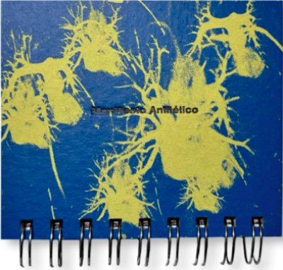 画像1: Gonzalo Golpe+ Marina Meyer: The Making Of Modern Korean Art: Manifiesto Antitético (1)